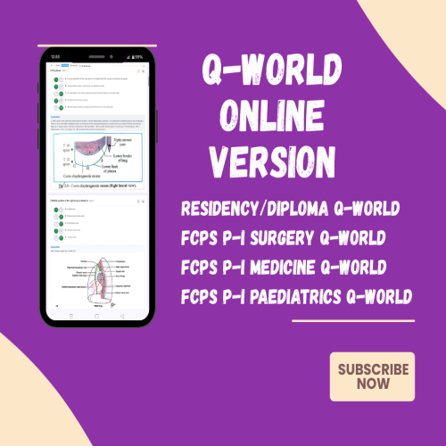 Q-World Online Version